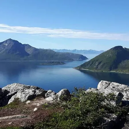Rom Til Leie I *